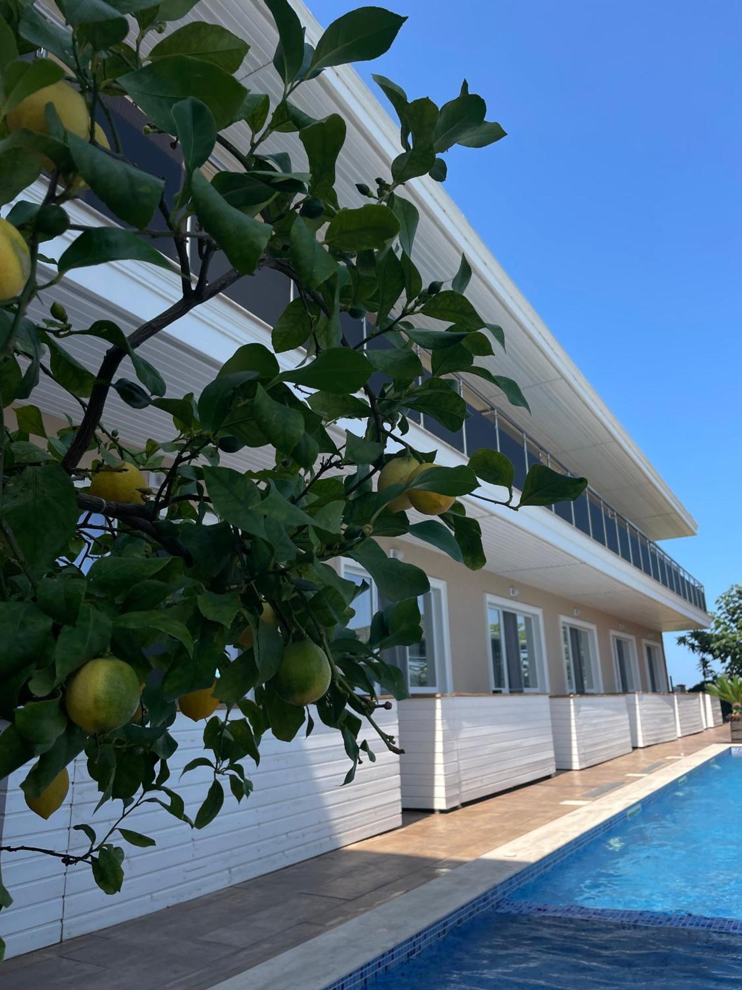 Gradina Holiday Sozopol Eksteriør bilde